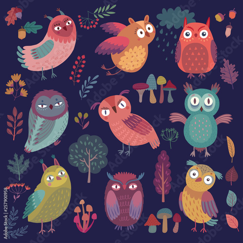 Cute Woodland owls. Funny characters with different mood on dark background. Vector illustration.