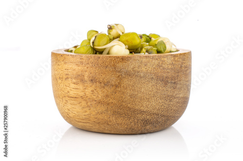 Lot of whole fresh green bean sprouts mungo with wooden bowl isolated on white background