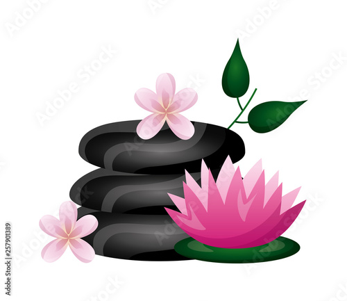 spa treatment therapy