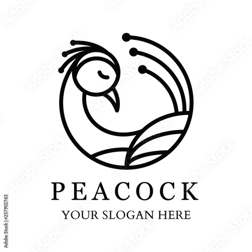 Peacock Logo with line design.