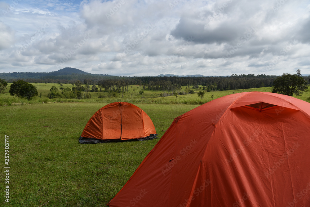 Colorful camping adventure tent  with green  meadow and beautifullandscape background in Tung sa lang lung national reserve area, Thailand