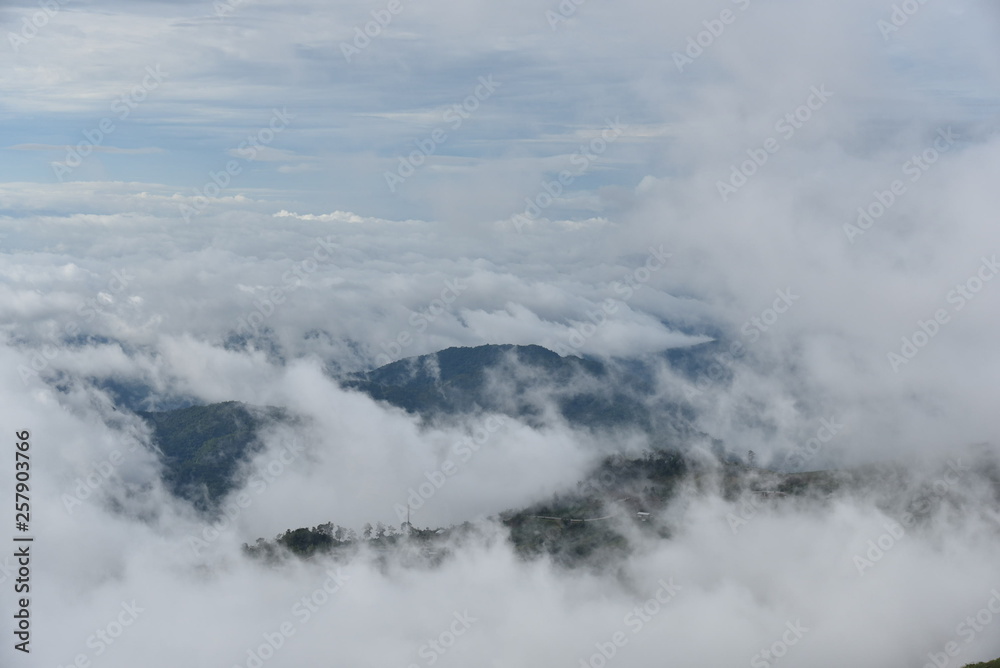 The mountain with cloud and mist in rainy season at Phu tub berk , Petchaboon , Thailand The mountain with cloud and mist in rainy season at Phu tub berk , Petchaboon , Thailand