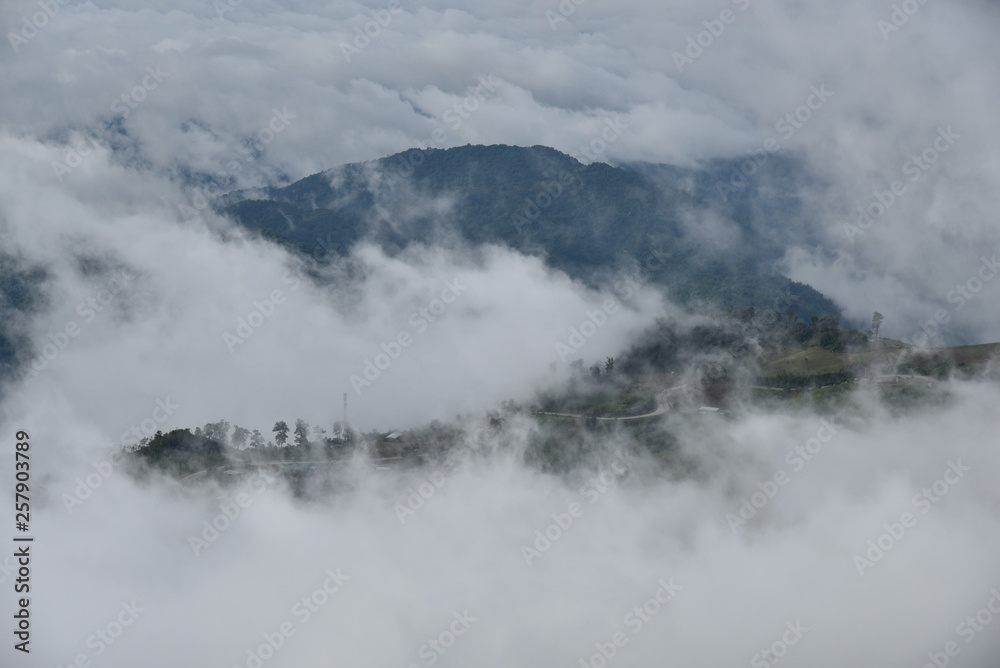The mountain with cloud and mist  in rainy season  at Phu tub berk , Petchaboon , Thailand