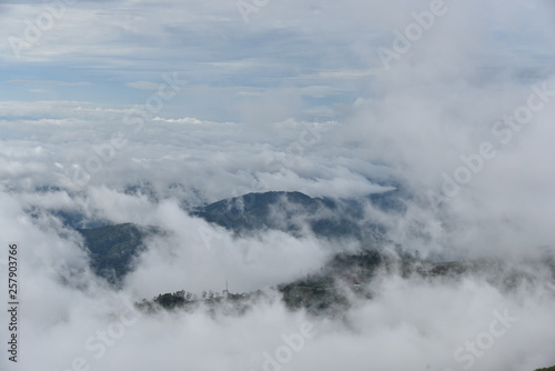 The mountain with cloud and mist in rainy season at Phu tub berk , Petchaboon , Thailand