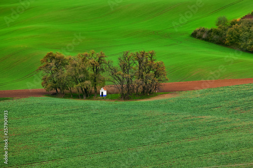 Famous moravian fields - Czech Republic