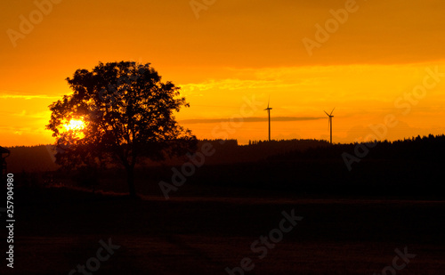 Windräder im Abendrot