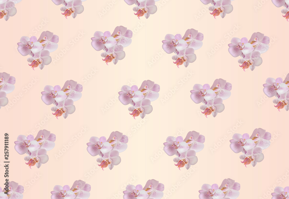 Vector seamless pattern with gentle orchids.