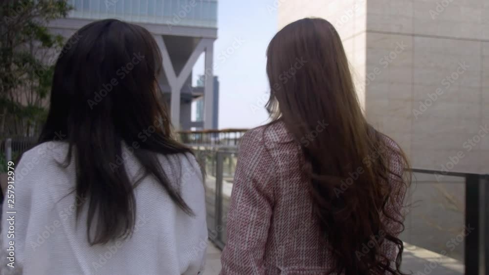 Following two Japanese women chatting in the city, 4k Following two Japanese women chatting in the city, 4k