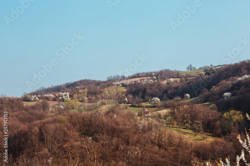 A view at a hill on sunny spring day.