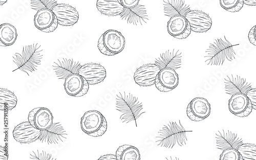 Seamless pattern with coconuts and palm leaves. Hand drawn vector