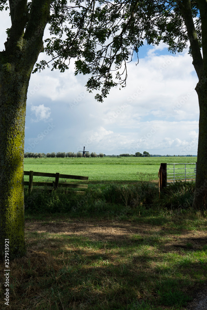 fence in Dutch landscape Alblasserwaard, mill of Bleskensgraaf,  The Netherlands. Blue cloudy sky.