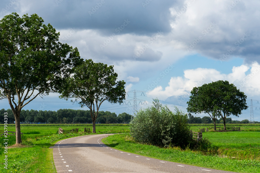 meadow, high voltage tower and road in Alblasserwaard, The Netherlands