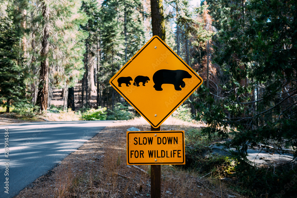 USA, California, Sequoia National Park, Animal Crossing Sign, family of mum and baby bears USA, California, Sequoia National Park, Animal Crossing Sign, family of mum and baby bears