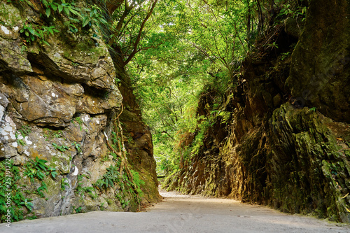 Beautiful green rock wall walkway in Mysterious Valley Trail called Shakadang Trail" at Taroko National Park in Hualien, Taiwan.
