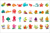 Sea creature big set, colorful cartoon ocean animals, plants and fishes vector Illustrations on a white background