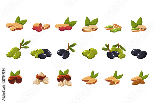 Nuts and olives set, nutritious natural products vector Illustration on a white background