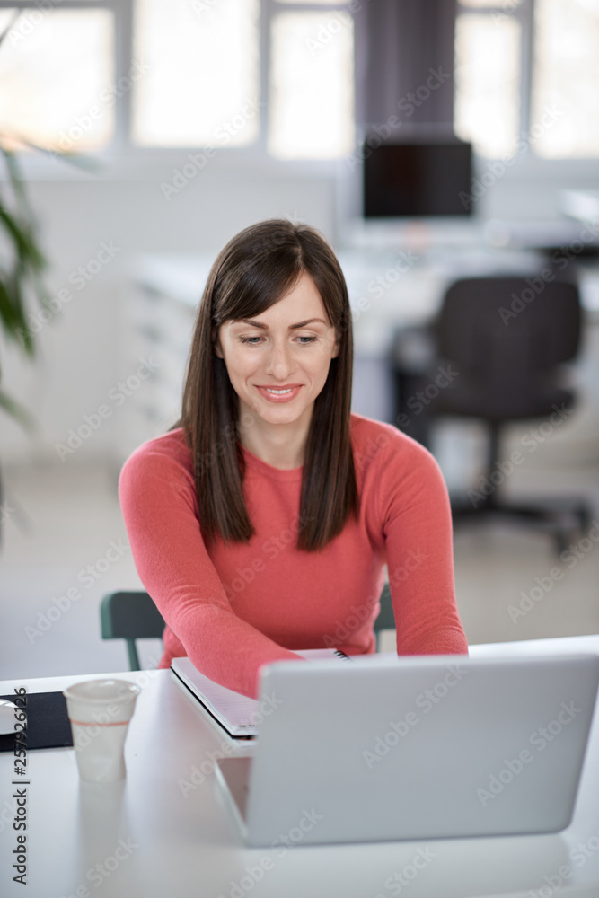 Beautiful smiling Caucasian businesswoman sitting in modern office and using laptop. Beautiful smiling Caucasian businesswoman sitting in modern office and using laptop.