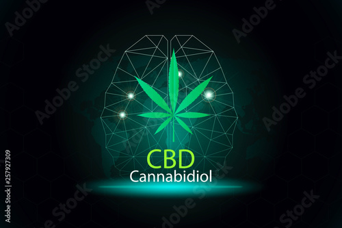 Cannabidiol CBD marijuana  extract Have medicinal properties background concept photo