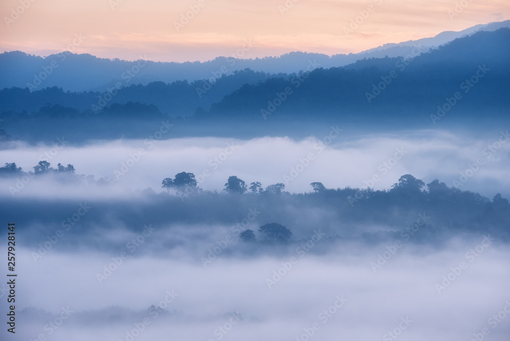 Obraz premium Aerial view of tropical rain forest in the mist, Landscape morning fog on Baan Hatsompaen Viewpoint Ranong Tropical rain forest at southern of Thailand