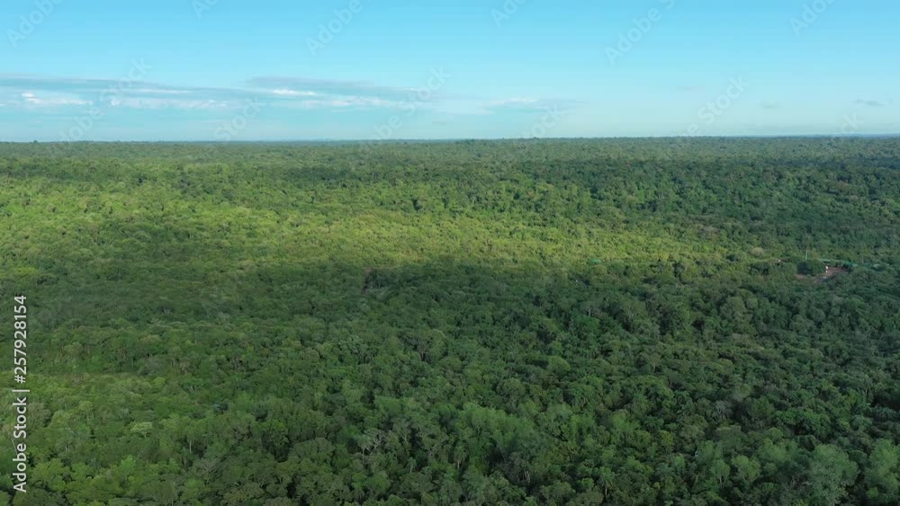 Aerial view of tropical rainforest, lush jungle in vicinity of Iguazu Falls - landscape panorama of Brazil/Argentina border, South America Aerial view of tropical rainforest, lush jungle in vicinity of Iguazu Falls - landscape panorama of Brazil/Argentina border, South America