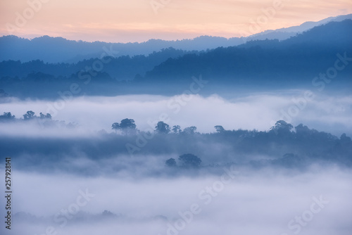 Aerial view of tropical rain forest in the mist, Landscape morning fog on Baan Hatsompaen Viewpoint Ranong Tropical rain forest at southern of Thailand