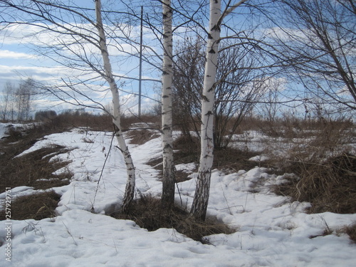 winter in park