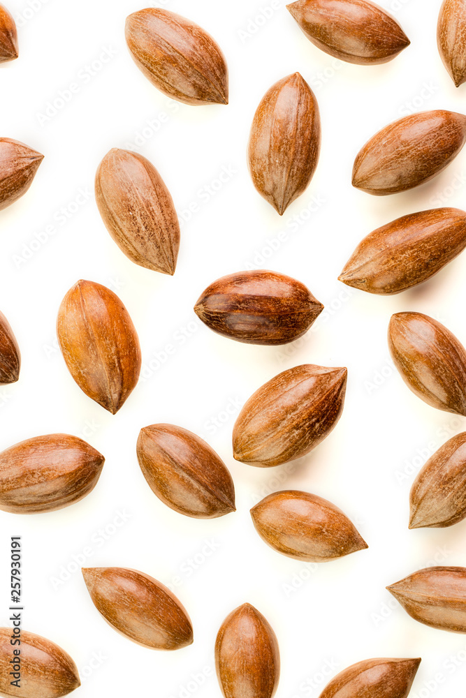 Not cleaned pecan nuts in the shell isolated on white. Not cleaned pecan nuts in the shell isolated on white.