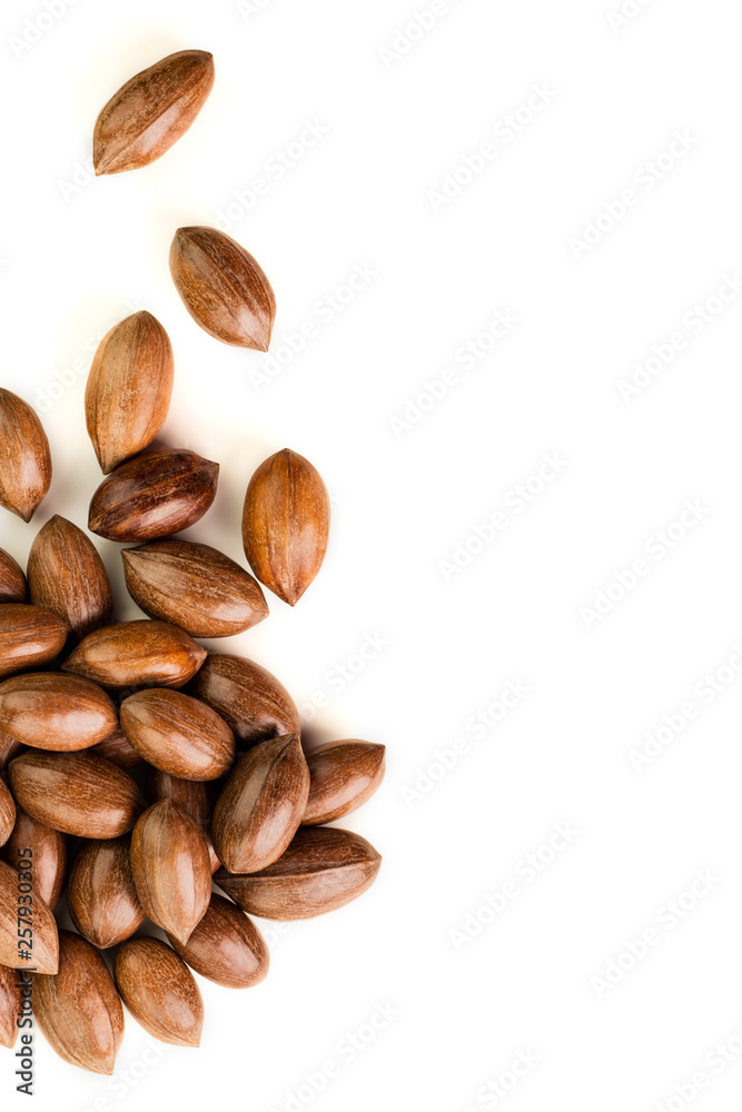 Not cleaned pecan nuts in the shell isolated on white. Not cleaned pecan nuts in the shell isolated on white.