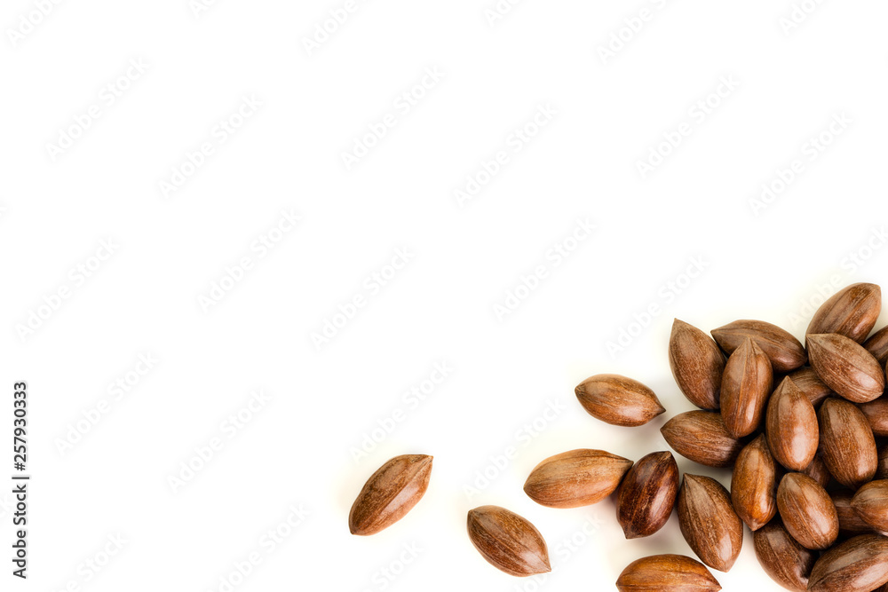 Not cleaned pecan nuts in the shell isolated on white. Not cleaned pecan nuts in the shell isolated on white.