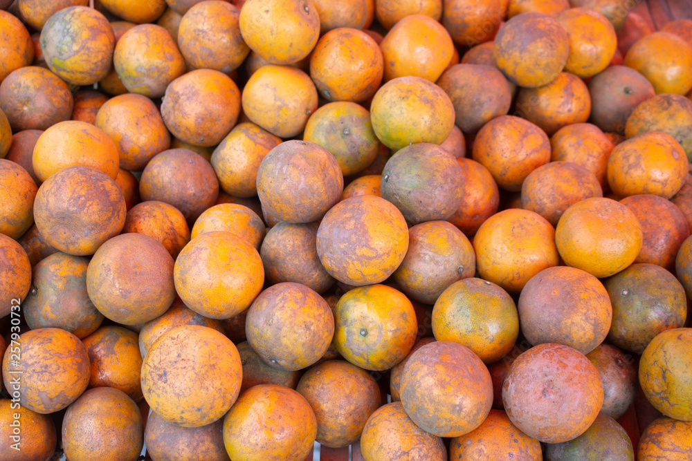 Close up Orange fruits