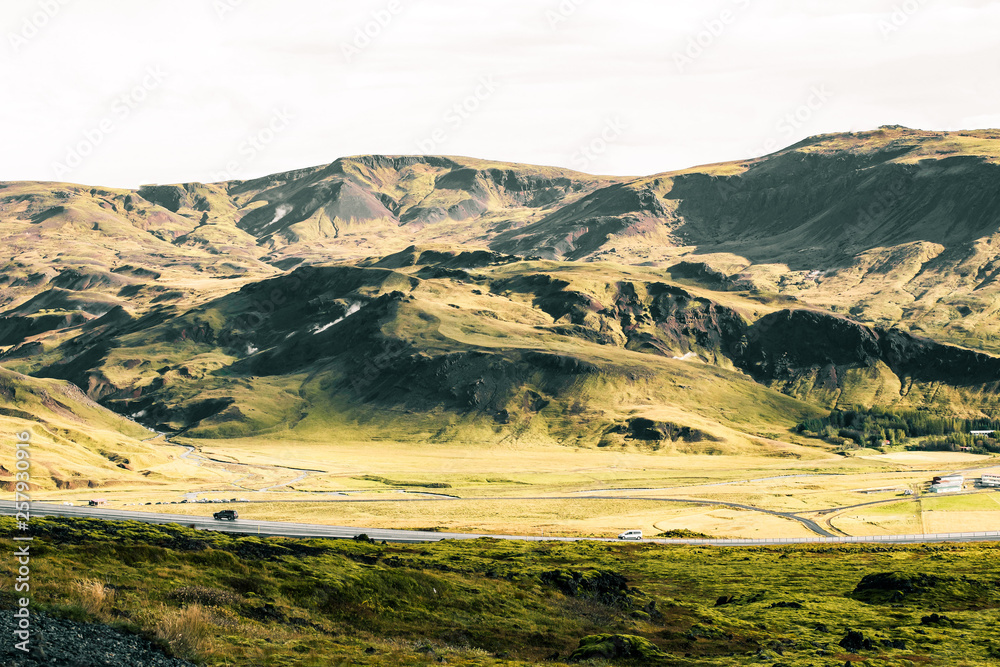 landscape of Green Iceland mountains with trees