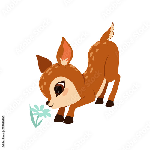 Cute little fawn character sniffing flower vector Illustration on a white background