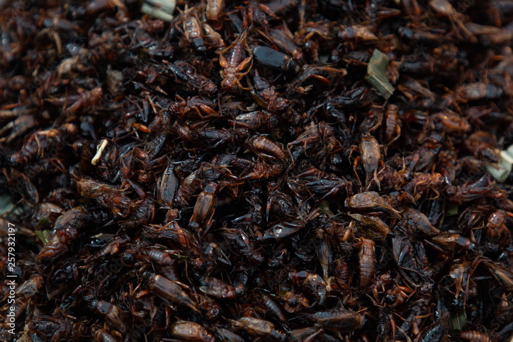 heap of insect fried snack , thai street food . heap of insect fried snack , thai street food .