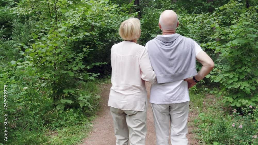 Back view of senior couple walking in summer park holding hands. Active modern life after retirement. Happy family enjoying time together in green garden Back view of senior couple walking in summer park holding hands. Active modern life after retirement. Happy family enjoying time together in green garden