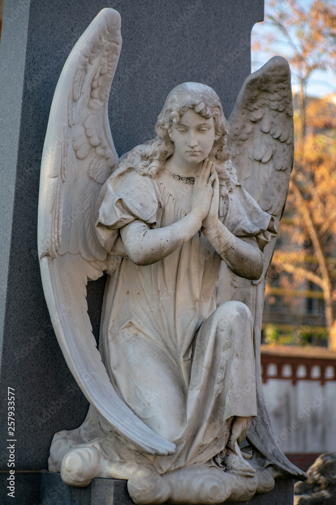 Fototapeta premium Statue eines betenden Engel aus Stein auf dem Dorotheenstädtischen Friedhof in Berlin
