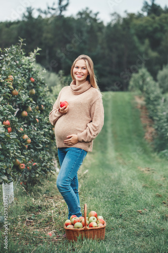 Happy healthy pregnancy. Portrait of pregnant young blonde Caucasian woman on apple farm with wicker basket. Beautiful expecting mom lady in sweater and jeans eating fruit © anoushkatoronto
