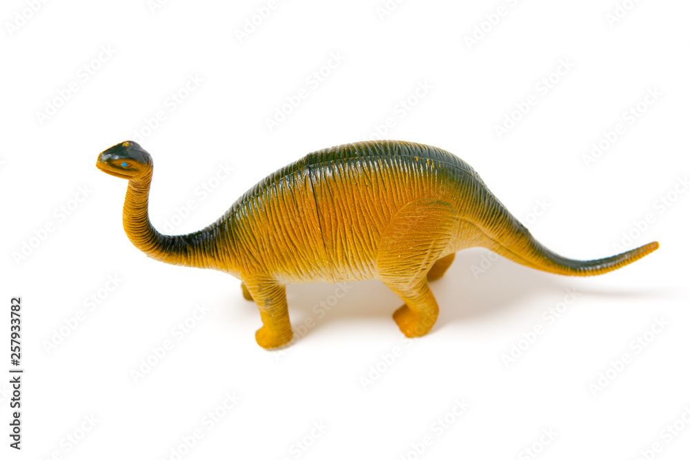 Fototapeta premium dinosaurs isolated on white background