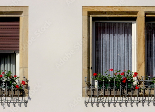 Photos Geranien vor Fenster close