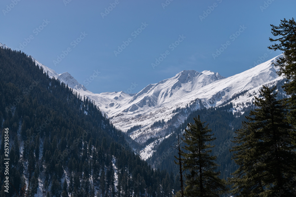 Himachal in winter