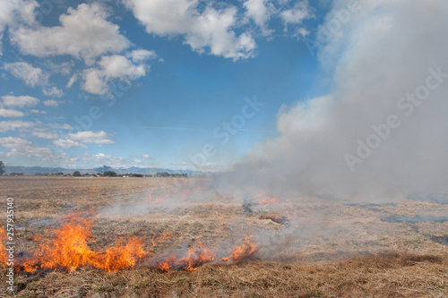View of controlled burning field against cloudy sky