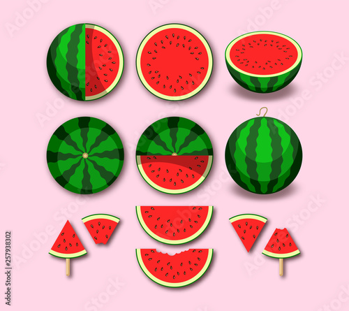 Watermelon. Whole fruit and fresh juicy watermelon slices. Vector illustration icon