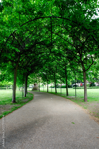 London city / England - May 2014: Alley in the park