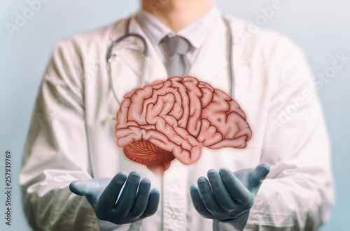 Принти на полотні Image of a doctor in a white coat and brain above his hands