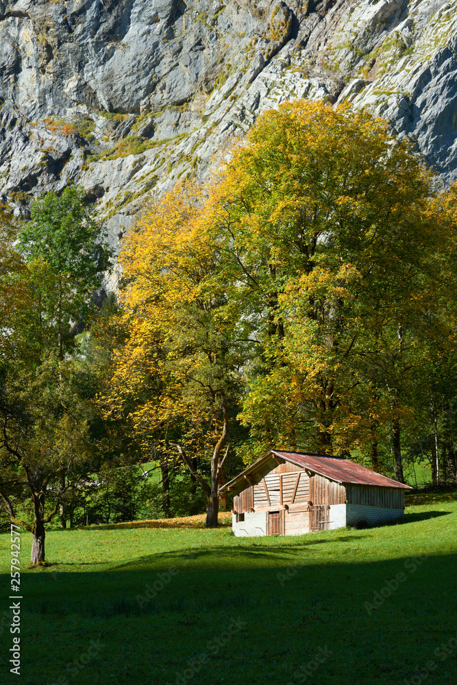 Obraz premium The old barn in autumn mountain view with the rock at background in Lauterbrunnen valley in Switzerland.