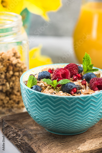 Crunchy granola with berry fruits with milk in bowl