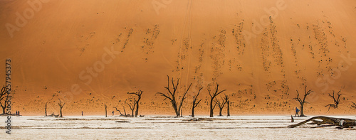 sossusvlei