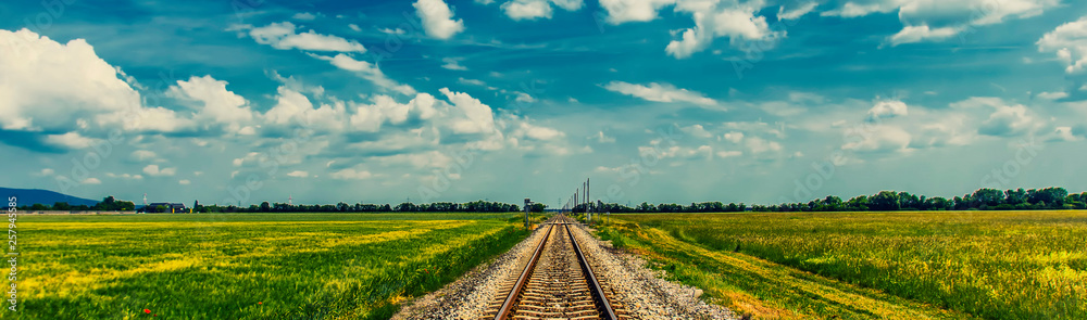 Fototapeta premium railroad in open summer landscape