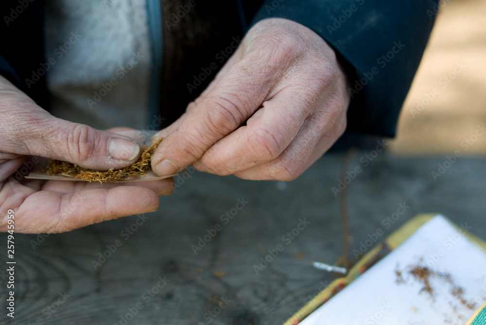 hands of a woman rolling an handmade cigarette, with fresh brown tobacco, paper, filter, and then smoking it, health, bad habits, diseases, Italy