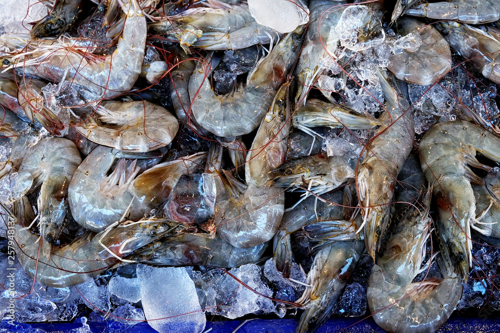 Fresh shrimp market stalls