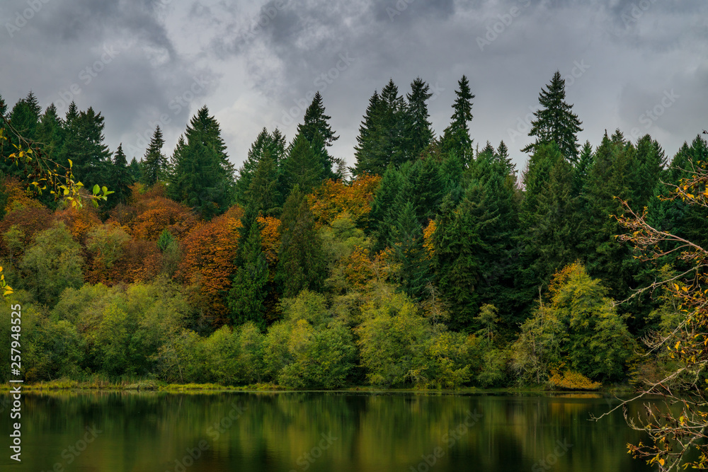 Capitol Lake Fall Foilage